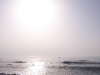 100_4337.jpg